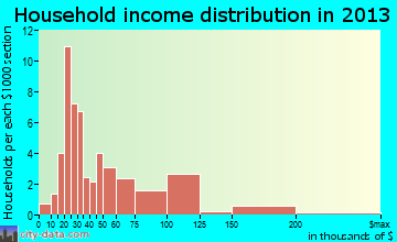 Inkom household income distribution
