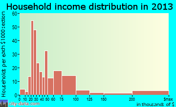 Ketchum household income distribution
