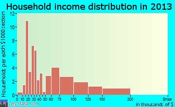 Mazon household income distribution