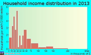 Medora household income distribution