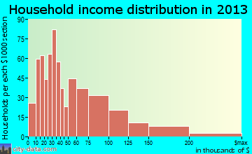 Morris household income distribution