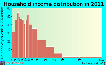 Big Sandy-Duncanville household income distribution