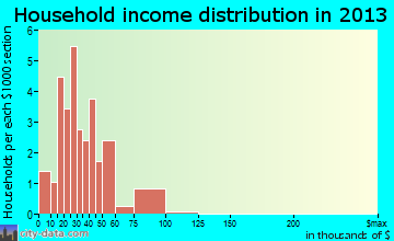Raleigh household income distribution
