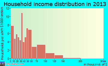 Raymond household income distribution