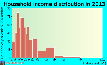 Rochelle household income distribution