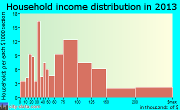 Rochester household income distribution