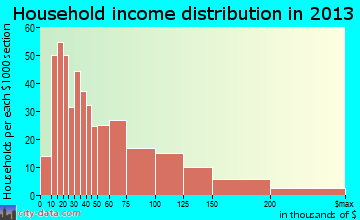 Homer household income distribution