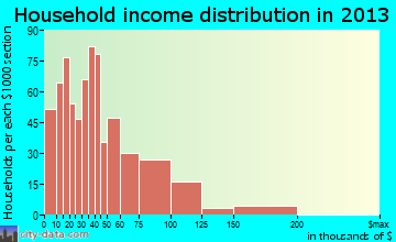Steger household income distribution