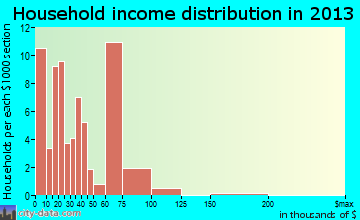 Tilden household income distribution