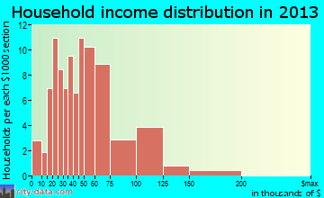 Washburn household income distribution