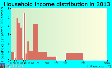 Waynesville household income distribution