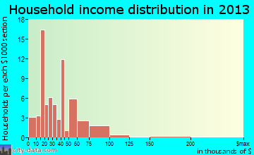 Witt household income distribution