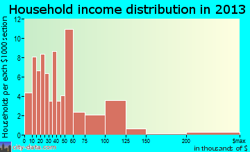 Worden household income distribution