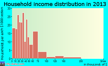 Bushnell household income distribution