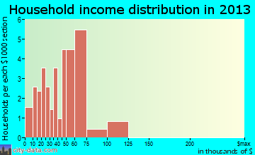 Bruceville household income distribution