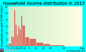 Camden household income distribution