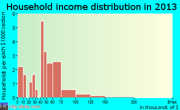 Center Point household income distribution