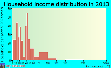 Ligonier household income distribution
