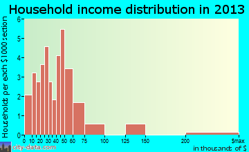Pilot Station household income distribution