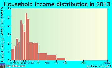 New Market, IN household income
