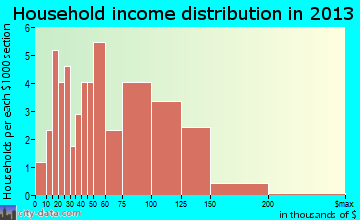 Point Hope household income distribution