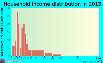 Petersburg household income distribution
