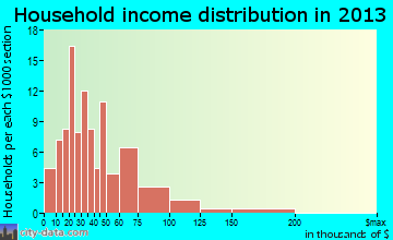Remington household income distribution