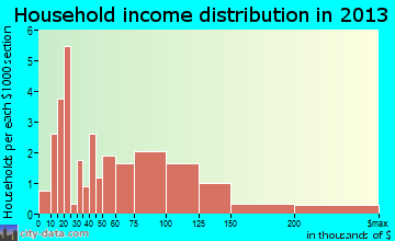 Salamatof household income distribution