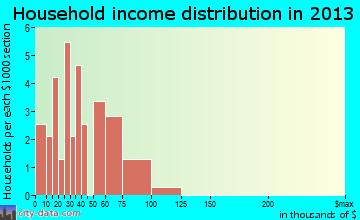 Pacific Junction household income distribution