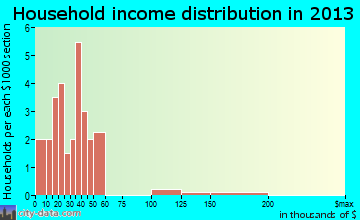 Palmer household income distribution
