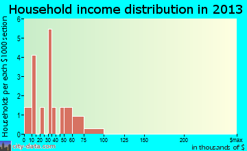 Pleasant Plain household income distribution