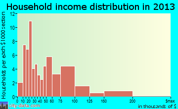 Princeton household income distribution