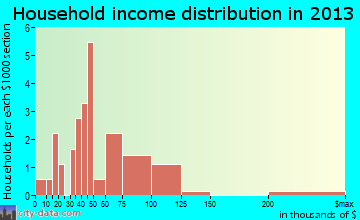 Silver City household income distribution