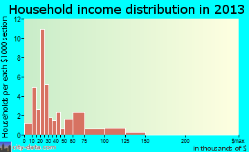 Burt household income distribution