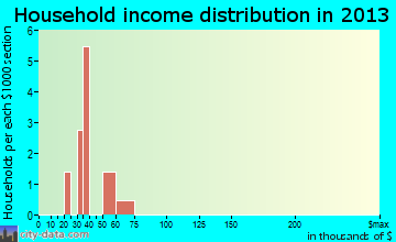 Conway household income distribution