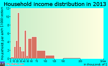 Ellsworth household income distribution