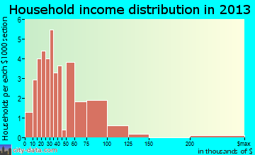 Emerson household income distribution