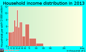 Essex household income distribution