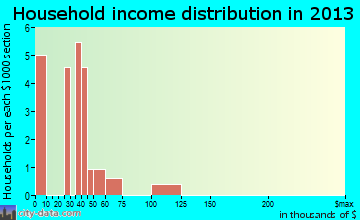 Kirkman household income distribution