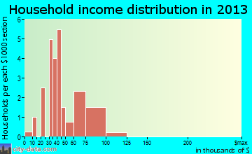 Mitchell household income distribution