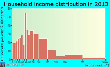 Orange City household income distribution