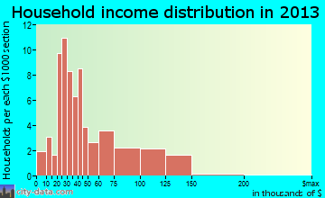 Johnson City household income distribution