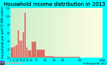 Enterprise household income distribution
