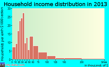 Ellsworth household income distribution
