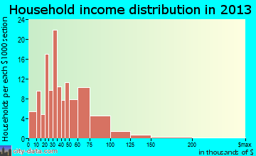 Ellis household income distribution