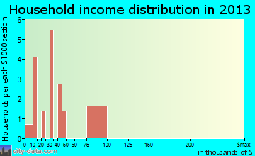 Bluff City household income distribution