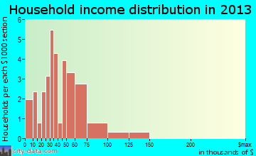 Selden household income distribution