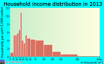 Craig household income distribution