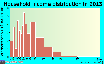 Perry household income distribution