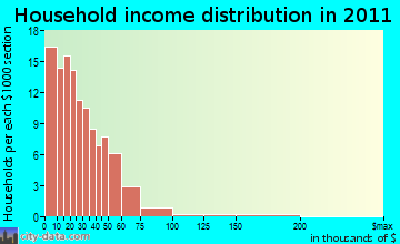 Station Camp household income distribution